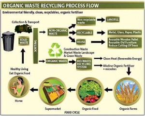 organic-waste